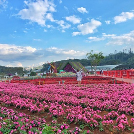 Dalat - The 11 Best Places To Visit
